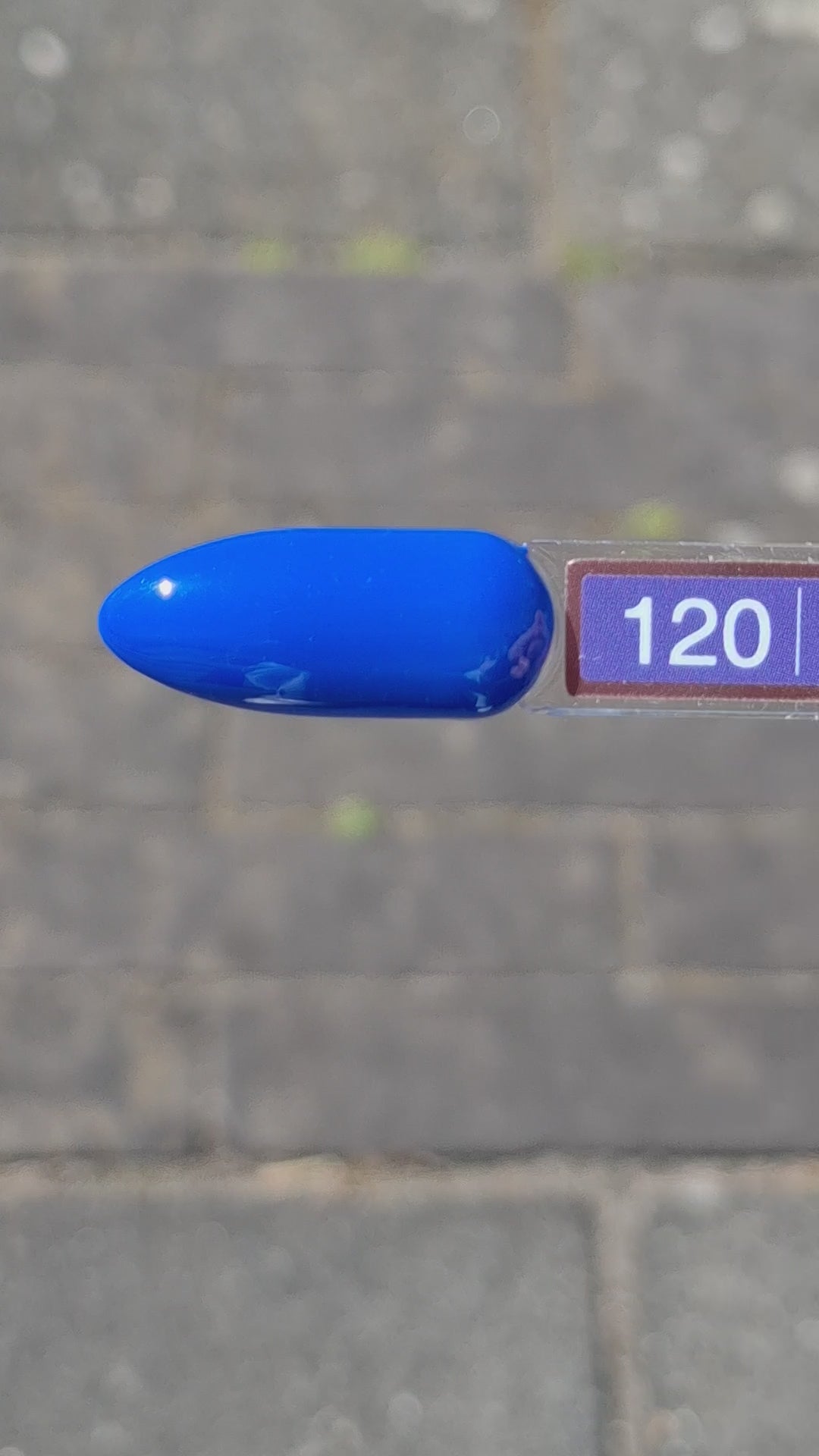 Video laden: Gel Polish Nocturne #120 – Intens Koningsblauw