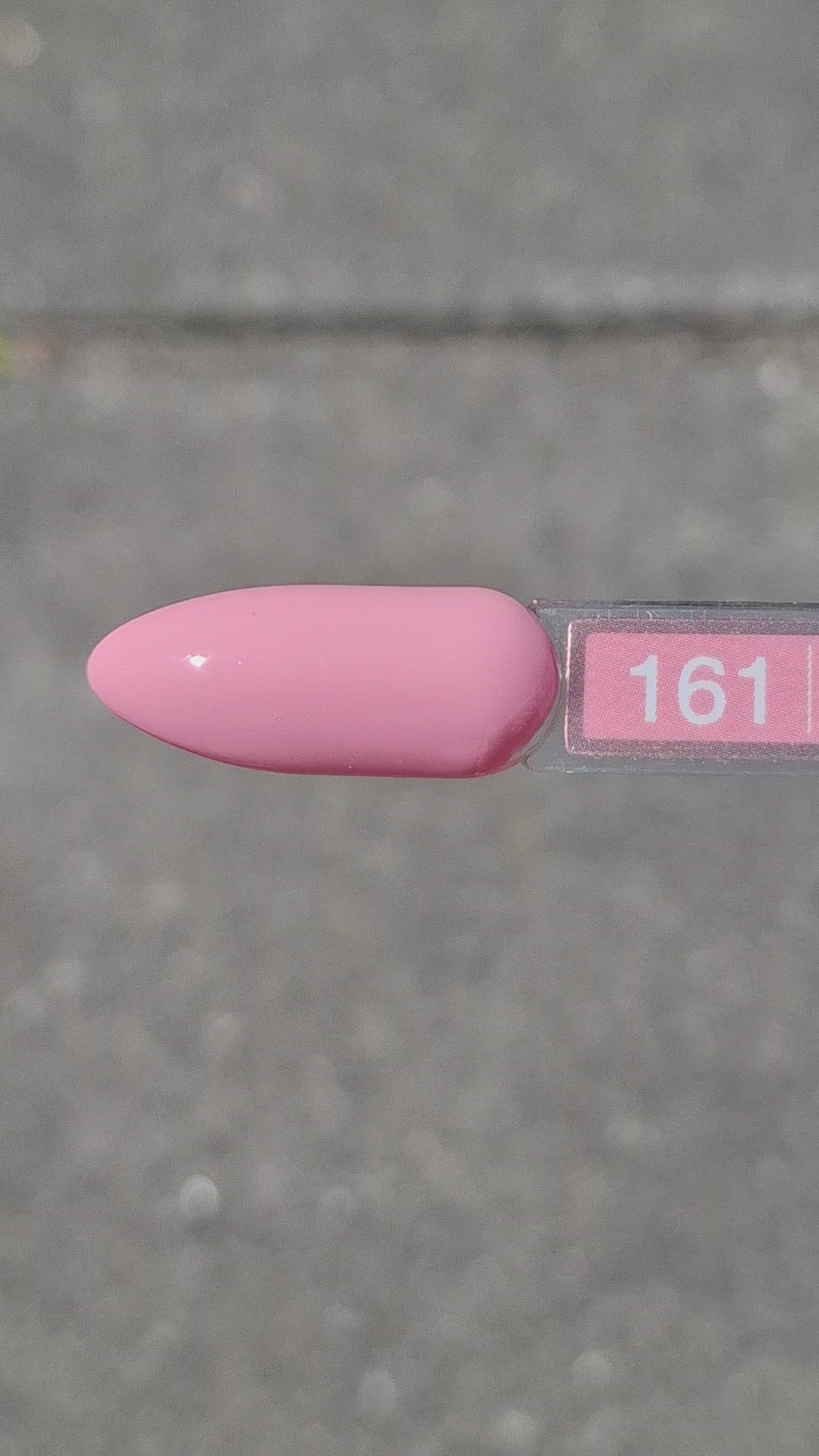 Video laden: Gel Polish Soft Petal #161 – Delicate Bloesemroze