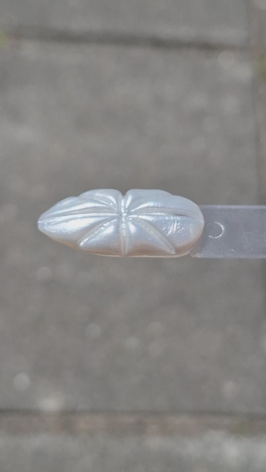 Video laden: 3D Sculpting Gel #02 Pearl White